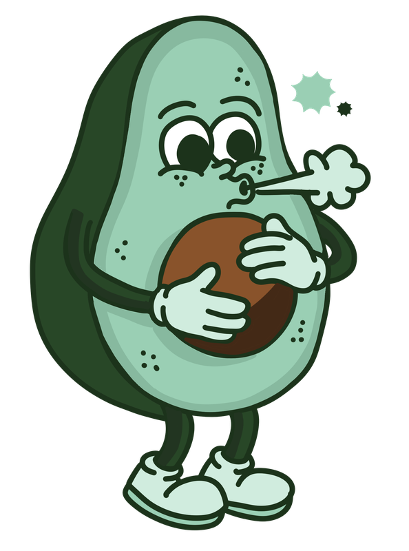 Avocado